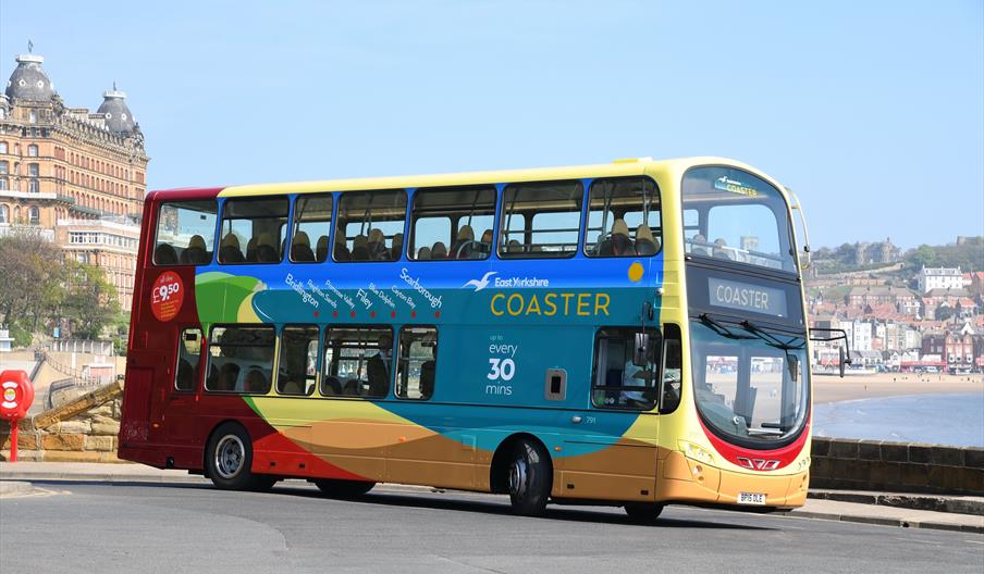 Coaster Buses