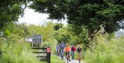 Coast and Forest Circular Cycle Route  - Cycling on the Cinder Track Credit Tony Bartholomew