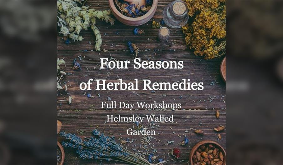 Four Seasons of Herbal Remedies -- Seasonal Workshops