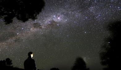 Yoga, night meander and mindful stargazing