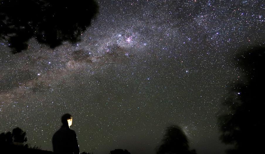 Yoga, night meander and mindful stargazing