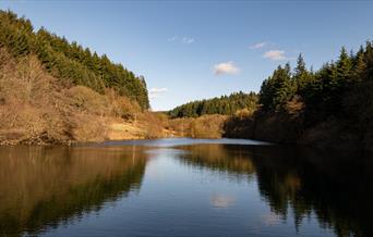 An image of Staindale Lake in Dalby Forest