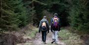 An image of some hikers walking into Dalby Forest.