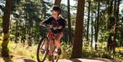 An image of a child riding a bike in Dalby Forest