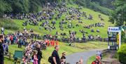An image of Oliver's Mount racing spectators
