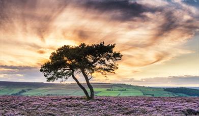 Image of the North York Moors