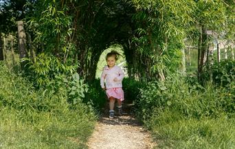 An image of a child running through a willow tunnel - Photograph by Dan Price