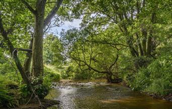 An image of the River Esk. Photograph by Paul Kent