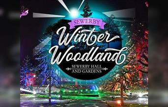 Sewerby Winter Woodland