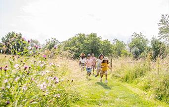 The Magic of Nature Trail - Friday 21 July to Thursday 10 August