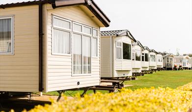 Flower of May Holiday Park - Caravans