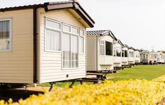 Flower of May Holiday Park - Caravans