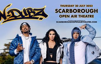 An image of the N-Dubz poster