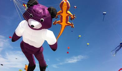 An image of the Big Bear at Filey Kite Festival