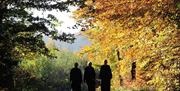 An image of  some Monks walking along a woodland track at Ampleforth Abbey.