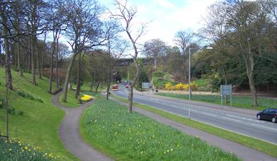 An image of the Valley Gardens, Scarborough