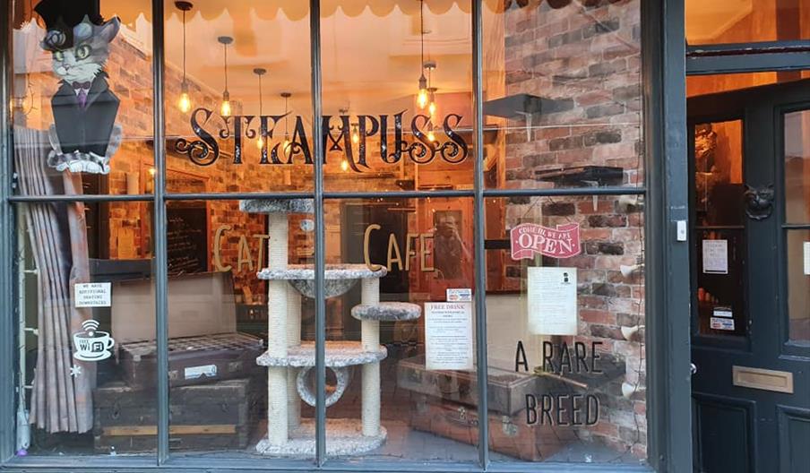 An image of outside Steampuss Cat Café