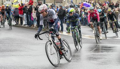 An image of a cycling race