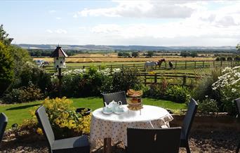 An image of the view from the cafe at Betton Farm