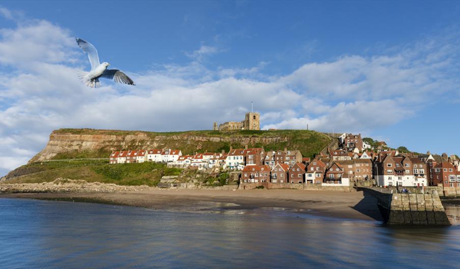 An image of Whitby Harbour