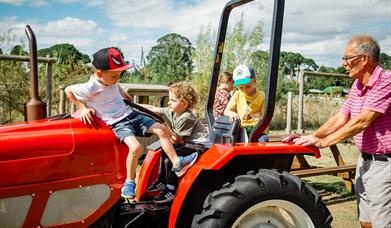 A photo of a family on a tractor at Woldie's Lavender and Nature Farm