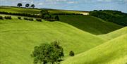 An image of Yorkshire Wolds