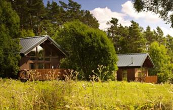 An image Keldy Cabins - Forest Holidays