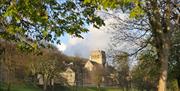 An image of Ampleforth Abbey through trees.