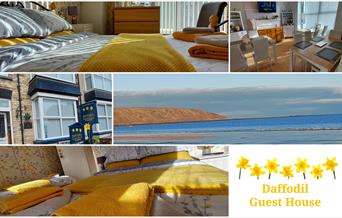 An image collage of Daffodil Guest House