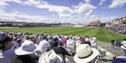 An image of a crowd at a cricket match at Scarborough Cricket Club
