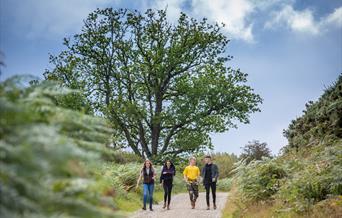An image of four people walking down a trail on Overdale Farm Easy Access Walk