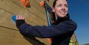 An image of a girl on the climbing wall