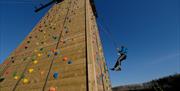 An image of a girl at the top of the climbing wall